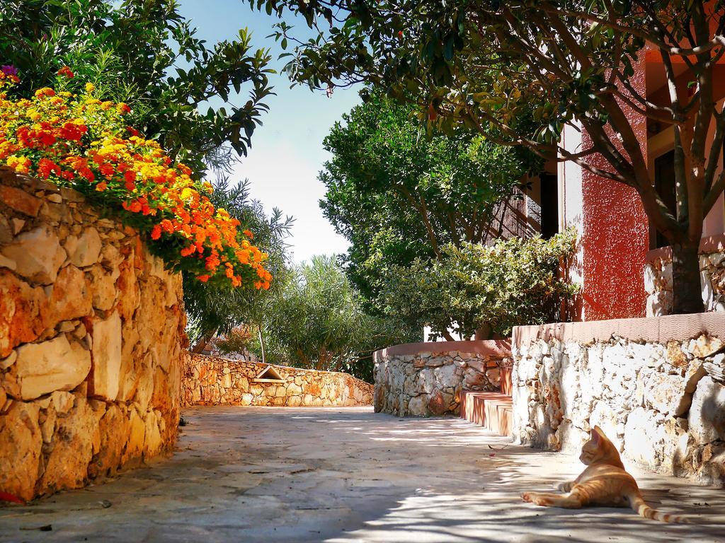 Areti Aparthotel Chania  Exterior photo